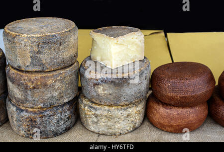 Ruedas de queso madurado a la venta en el mercado, Toscana, Italia Foto de stock