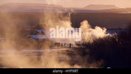 Geysir Área Termal (Strokkur) en el Golden Circle en Islandia del hotspot geotérmica brota agua 30 metros (100 pies) en el aire cada pocos minutos. Foto de stock