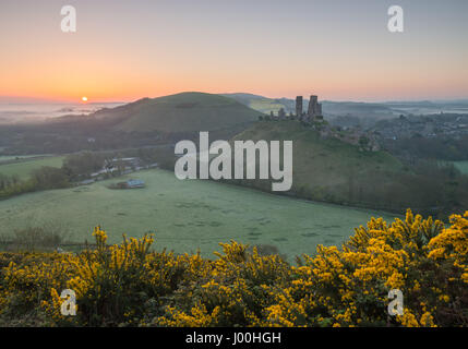 El castillo Corfe, en Dorset, Reino Unido. El 8 de abril de 2017. Gloriosa misty crisp amanecer sobre la Isla de Purbeck y la icónica, ruinas históricas de Corfe Castle. © DTNe