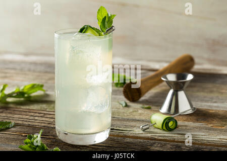 Gin Pepino refrescante Spritz cóctel con limón y menta Foto de stock