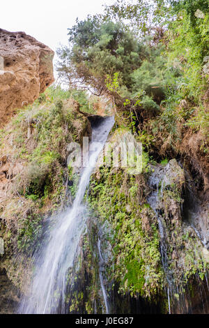 Cascada de Ein Gedi (Israel) Foto de stock