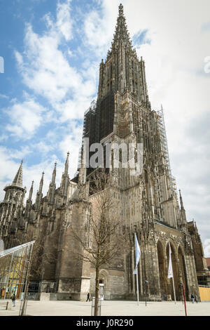 En la catedral de Ulm es la iglesia más alta del mundo (161,5 metros), Alemania. Foto de stock