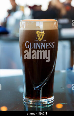 Dublín, Irlanda - Feb 15, 2014: Una pinta de Guinness, la popular cerveza irlandesa