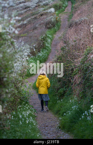 Una mujer solitaria en una chaqueta amarilla brillante caminar solo a través de la Campiña Sur a lo largo de la ruta de la costa oeste de Cornualles, en el Reino Unido. Foto de stock