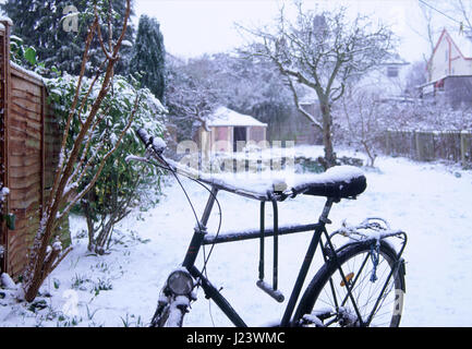 Bicicleta discount oxford antigua