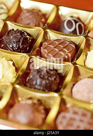Un cierre para arriba del chocolate belga Pralines en el cuadro. Foto de stock