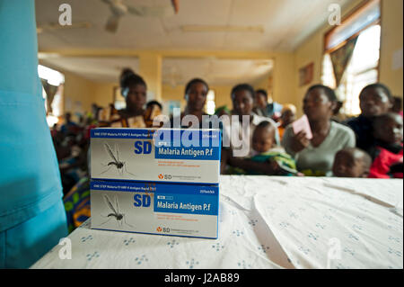 Malawi, Región Norte, Rumphi, Vigilancia de la Salud Assistant dando un post natal información general acerca de la malaria Foto de stock