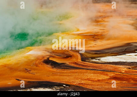 Vista elevada de Grand Prismatic Spring y patrones en mat bacteriana, Midway Geyser Basin, el Parque Nacional Yellowstone, Wyoming.