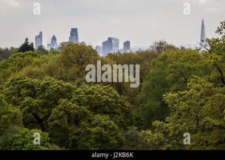 (L-R), Cheesegrater Guerkin, y Walkie-Talkie Shard edificios visto a través de las copas de los árboles de Hampsted Heath park, en el noroeste de Londres, Reino Unido. Foto de stock