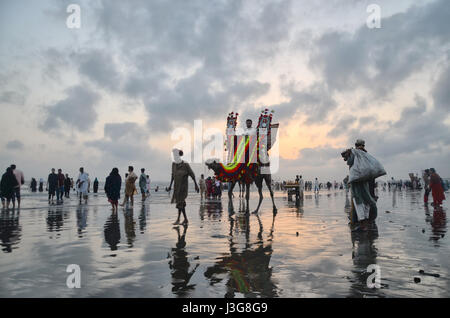 El montar a caballo del camello en Clifton Beach Karachi, Pakistán Foto de stock