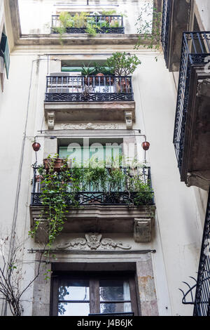 Plantas en macetas en los balcones de un edificio de apartamentos en el Barrio Gótico de Barcelona, España. Foto de stock