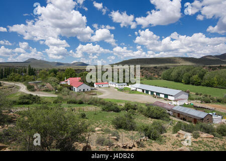 Invitado Ganora cerca de la granja de Nieu Bethesda Karoo, Eastern Cape, Sudáfrica Foto de stock