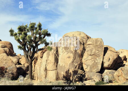 Formaciones rocosas en el parque nacional Joshua Tree Foto de stock