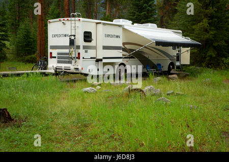 Crazy Creek Camping Shoshone National Forest, Beartooth Scenic Highway desviación, Wyoming Foto de stock