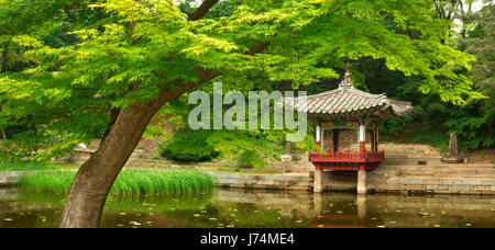 El jardín secreto, en el antiguo palacio de Changdeokgung en Seúl, Corea del Sur. Fotografía de finales de primavera.