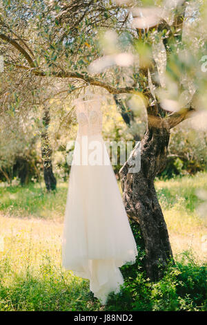 El vestido de novia se cuelga en una percha en un árbol de olivo. Recogiendo las novias en un olivar en Montenegro. Boda en Europa.