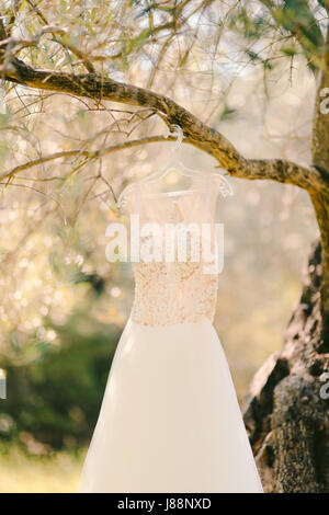 El vestido de novia se cuelga en una percha en un árbol de olivo. Recogiendo las novias en un olivar en Montenegro. Boda en Europa.
