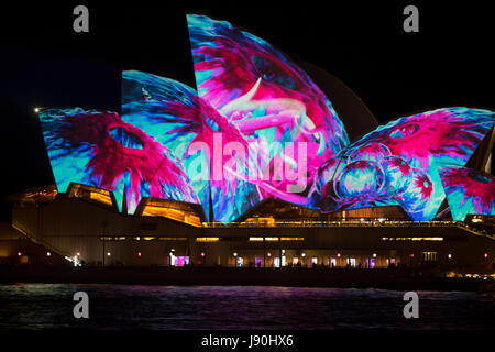 Sydney, Australia, el martes 30 de mayo de 2017. Vivid Sydney show de luces en Circular Quay. Crédito: Martin berry/Alamy Live News Foto de stock