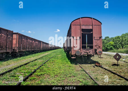 Viejos vagones de tren esperando a ser convertidos en chatarra. Foto de stock