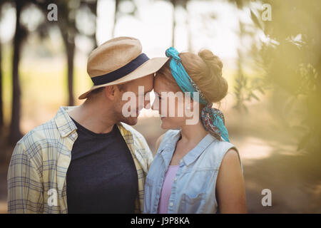 Alegre joven pareja frotando la nariz en la granja de olivos