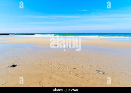 Gaviotas en agua en Kampen beach, isla de Sylt, Mar del Norte, Alemania Foto de stock
