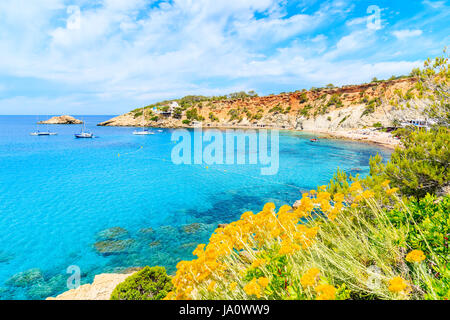 Vista de la playa de Cala d'Hort con hermosa agua de mar azul y amarillo de las flores de la primavera en primer plano, la isla de Ibiza, España Foto de stock