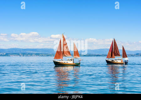 Dos Yates Del Lago Leman Lago De Ginebra En Invierno Gaviota En Primer Plano Los Barcos Son De La Clase Sorpresa Fotografia De Stock Alamy