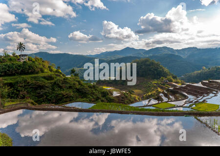 Blick auf die Reisterrassen nahe des Dorfes Spiegelungen Poitan mit der Wolken en den Reisfeldern Foto de stock