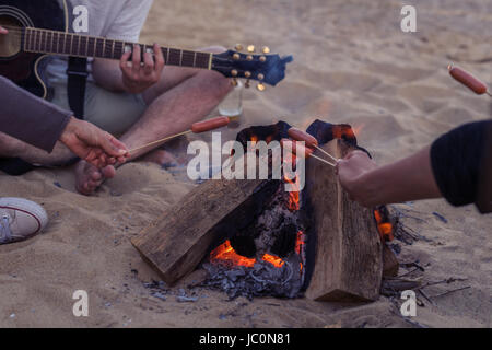 Amigos sentado en la playa. El hombre está tocando la guitarra.