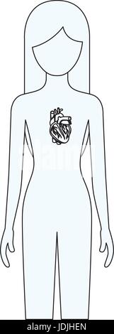 Dibujo silueta de persona del sexo femenino con los órganos internos del  cuerpo humano del sistema Imagen Vector de stock - Alamy