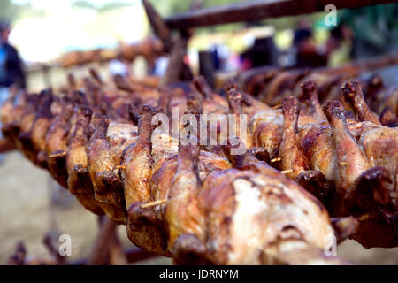 Asadores Pollo Giratorio