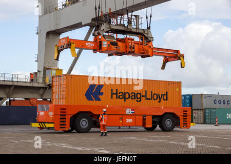 ROTTERDAM - sep 6, 2015: gruista recoger un contenedor marítimo en el puerto de Rotterdam. Foto de stock