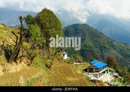 Los trekkers de ladera guesthouse en Ghandruk, región de Annapurna, Nepal. Foto de stock