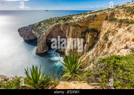 Malta - un precioso acantilado de la Gruta Azul con plantas delante