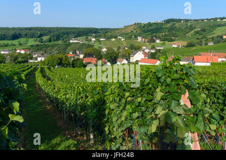 Viñedos de Eisenberg, Austria, Burgenland, Alemán Schützen-Eisenberg Foto de stock