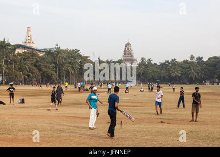 Hombres jugando cricket en el Oval Maidan, sur de Mumbai, India Foto de stock