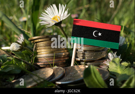 Bandera de Libia con la pila de dinero monedas con hierba y flores Foto de stock