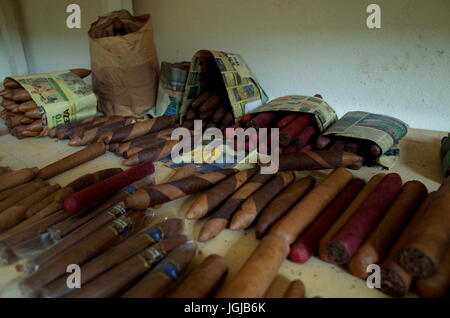 Una Máquina Para Hacer Puros Dentro De Una Fábrica De Cigarros En Estelí,  En Las Montañas Del Norte De Nicaragua Fotos, retratos, imágenes y  fotografía de archivo libres de derecho. Image 81118384