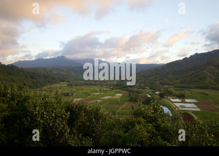 Valle de Hanalei lookout