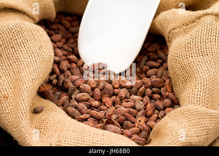 Granos de cacao en el saco con boca Foto de stock