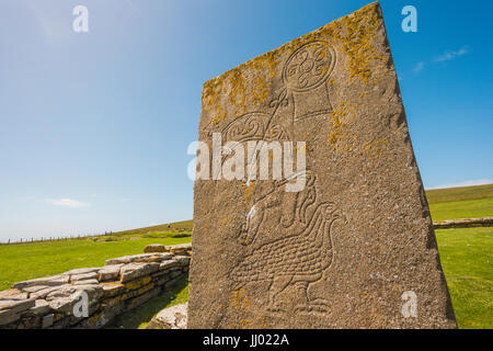La piedra, símbolo de Pictish Brough de Birsay Orkney, Escocia, Reino Unido Foto de stock
