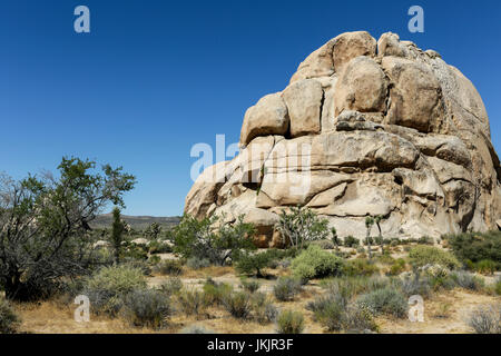 Formaciones rocosas, el Parque Nacional Joshua Tree Foto de stock