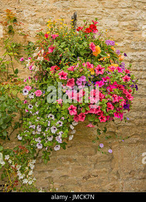 Masa de plantas de flores coloridas, Inc.rojo y lila petunias, begonias, y fucsias en colgaderas contra la pared de piedra Foto de stock