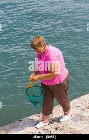 Mujer caminar sobre la pared del puerto con el canasto net utilizado para la pesca de almejas en Lyme Regis, Dorset en julio Foto de stock