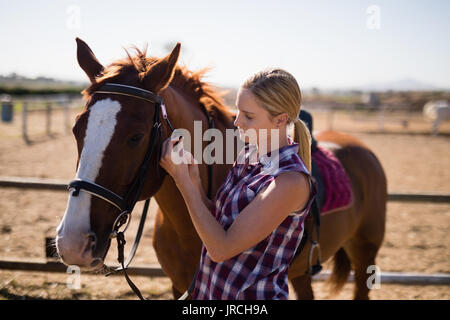 Vista lateral de las hembras jóvenes de pie a caballo en el campo durante el día soleado Foto de stock