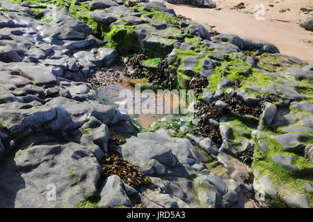 Una pequeña piscina de roca a la izquierda después de la marea ha salido en un típico seashore. Foto de stock