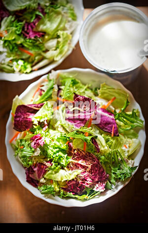 Hojas mixtas - ensalada de verduras con ensalada de radicchio y zanahoria rallada Foto de stock