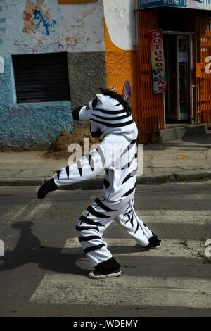 Cebras tráfico ayudando a los peatones a cruzar la calle, La Paz, Bolivia, América del Sur Foto de stock
