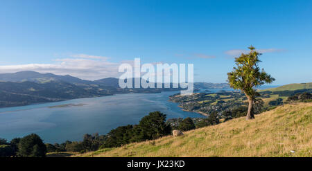 El paisaje costero, puerto de Otago, Otago, Isla del Sur, Nueva Zelanda Foto de stock