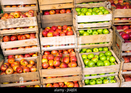 Manzanas frescas en cajas de madera para la venta en un mercado en Valparaíso, Chile Foto de stock